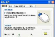 XPа(bio)»