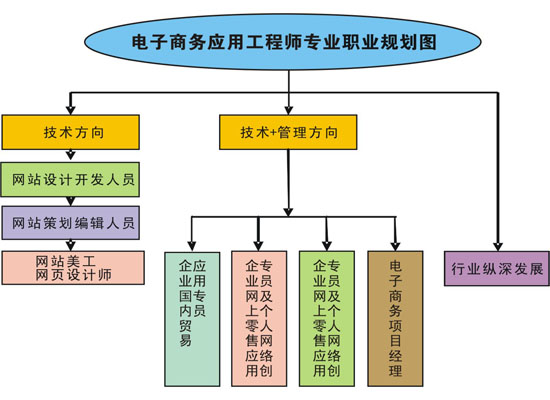 電子商務應用工程師專業職業規劃