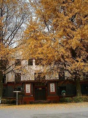 四川大學