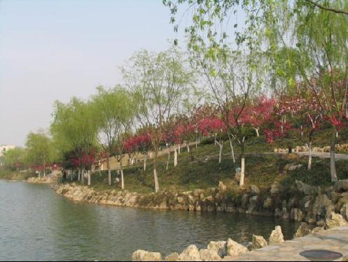 南京師范大學