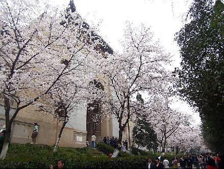 武漢大學