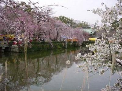風(fēng)景最美大學(xué)