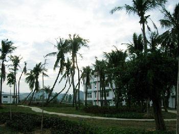 海南大學三亞學院
