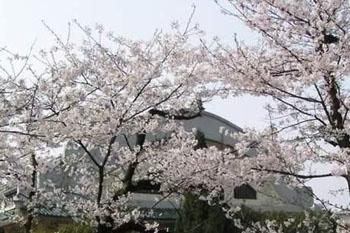 武漢大學