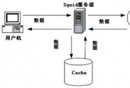 SQUID͸팍(sh)F(xin)(ni)W(wng)LInternet