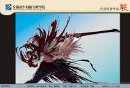 AXތW(xu)Ժ W(xu)Ʒ